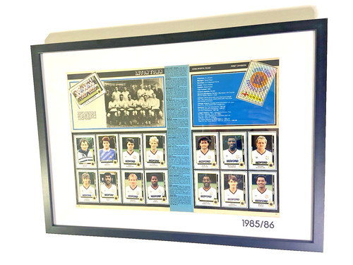 Panini football luton town - panini,