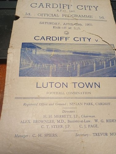Cardiff city luton - cardiff, town