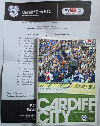 Cardiff city luton - city, town