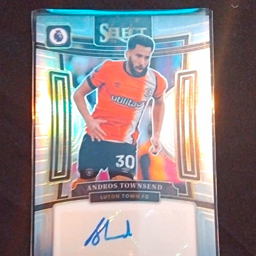 Panini select premier league - premier,