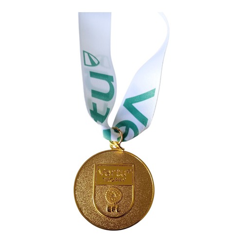 2025 luton town vertu - fc,