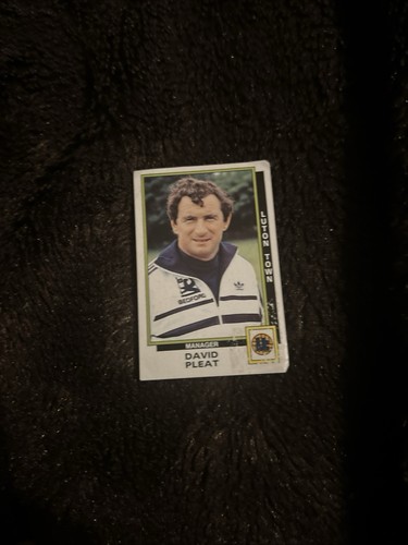 Panini football sticker - 86,